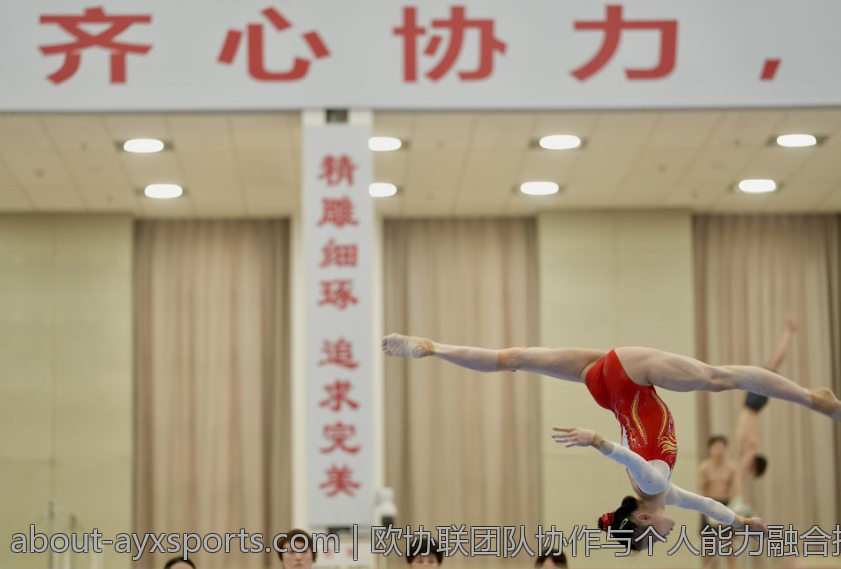 欧协联团队协作与个人能力融合探讨