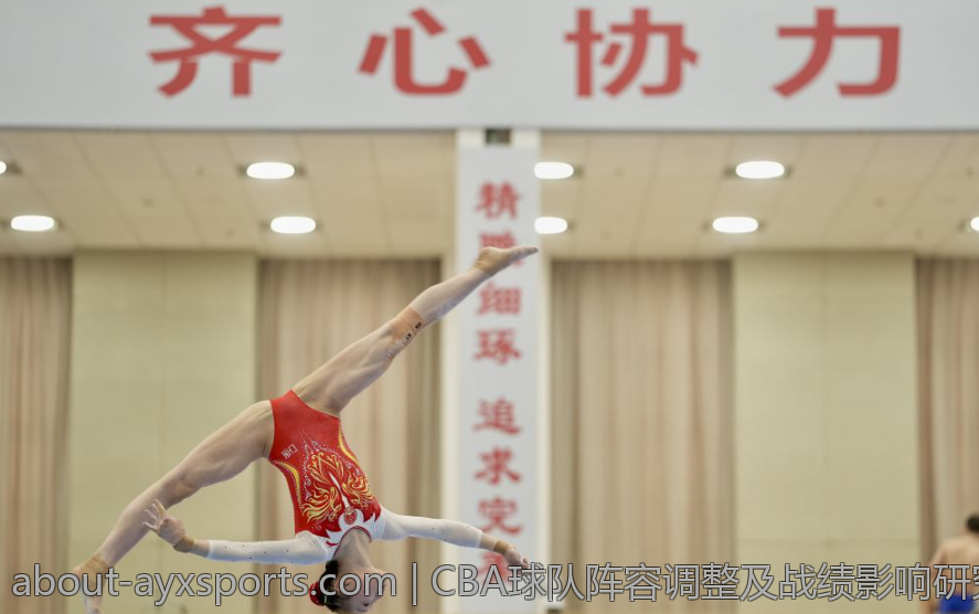 CBA球队阵容调整及战绩影响研究