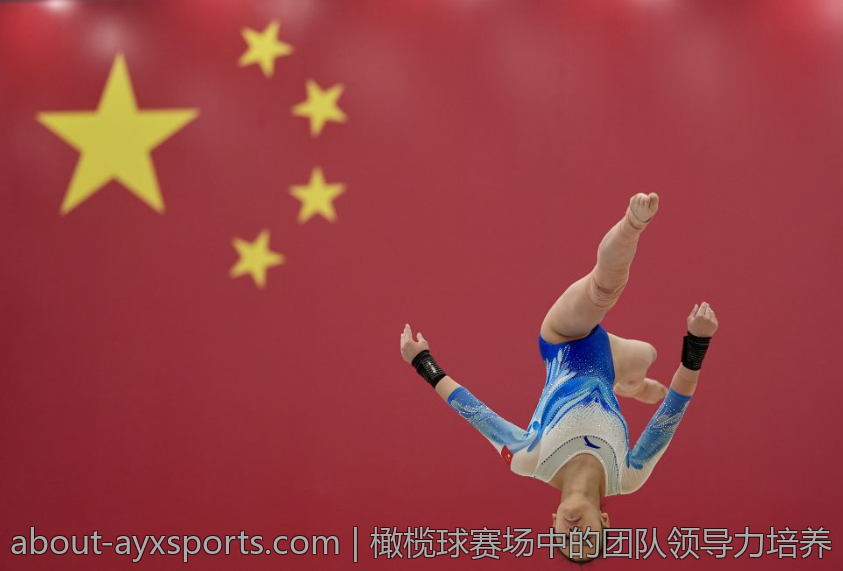 橄榄球赛场中的团队领导力培养