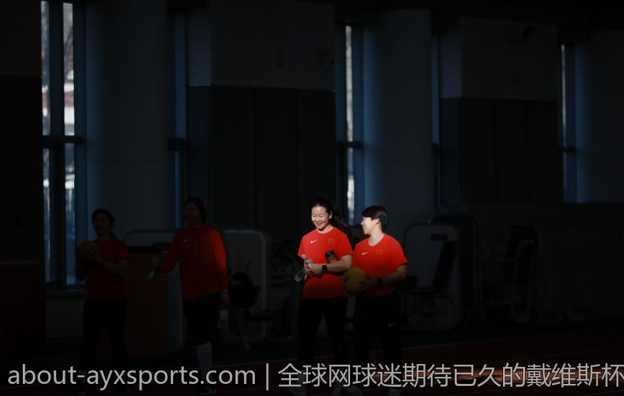全球网球迷期待已久的戴维斯杯世界组比赛精彩纷呈