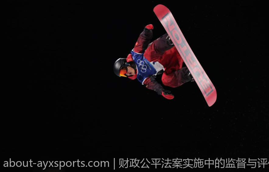 财政公平法案实施中的监督与评估机制