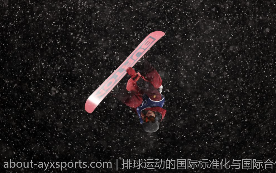 排球运动的国际标准化与国际合作项目介绍