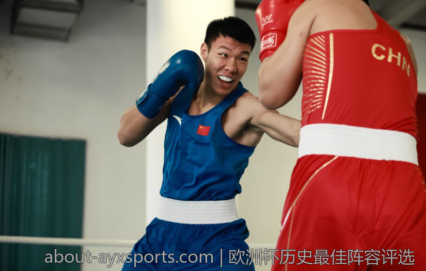 欧洲杯历史最佳阵容评选