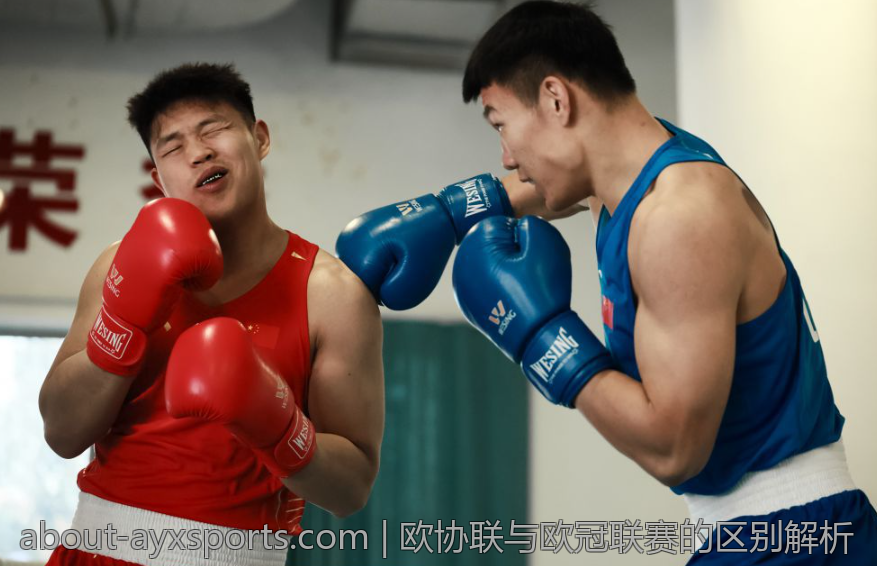 乒乓球不同打法风格的优劣比较