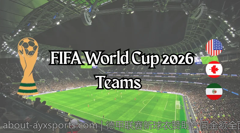 德甲联赛新球衣赞助合同金额全面解析